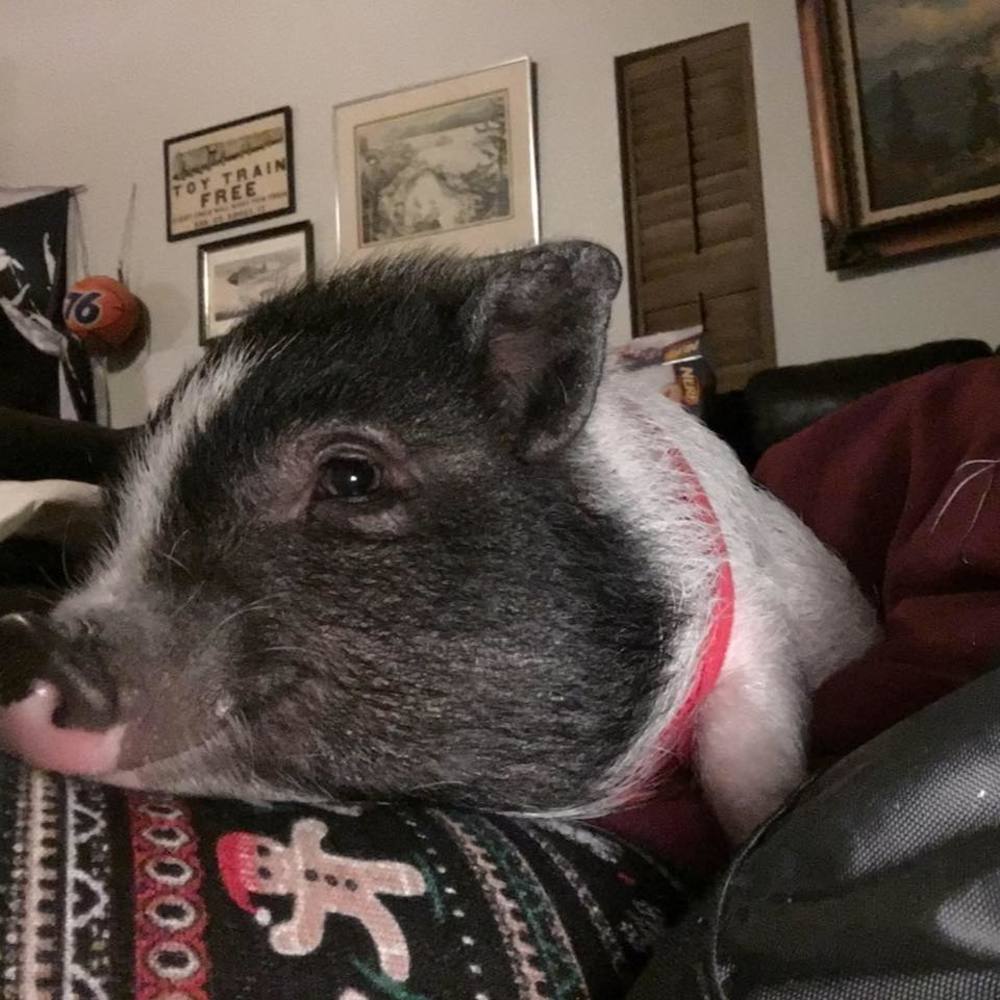 Meet your Posher, Andrea